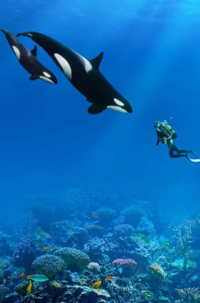 Captura de tela 9 12 2025 17458 br.pinterest.com