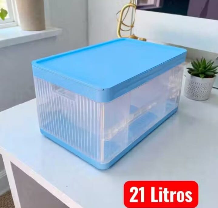 cixa transparente e1770205974714